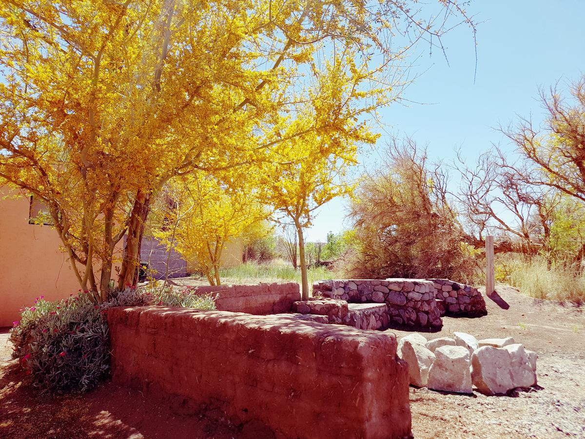 Lodge Don Felix San Pedro De Atacama Extérieur photo